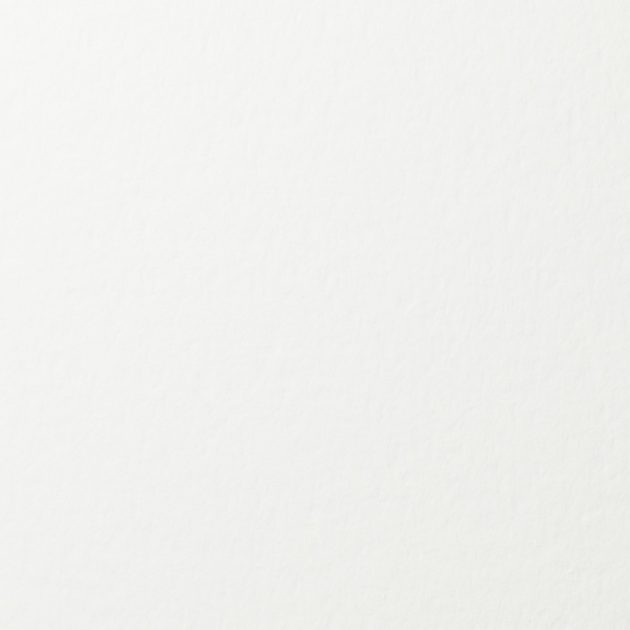 Cordenons Wild Natural White 850