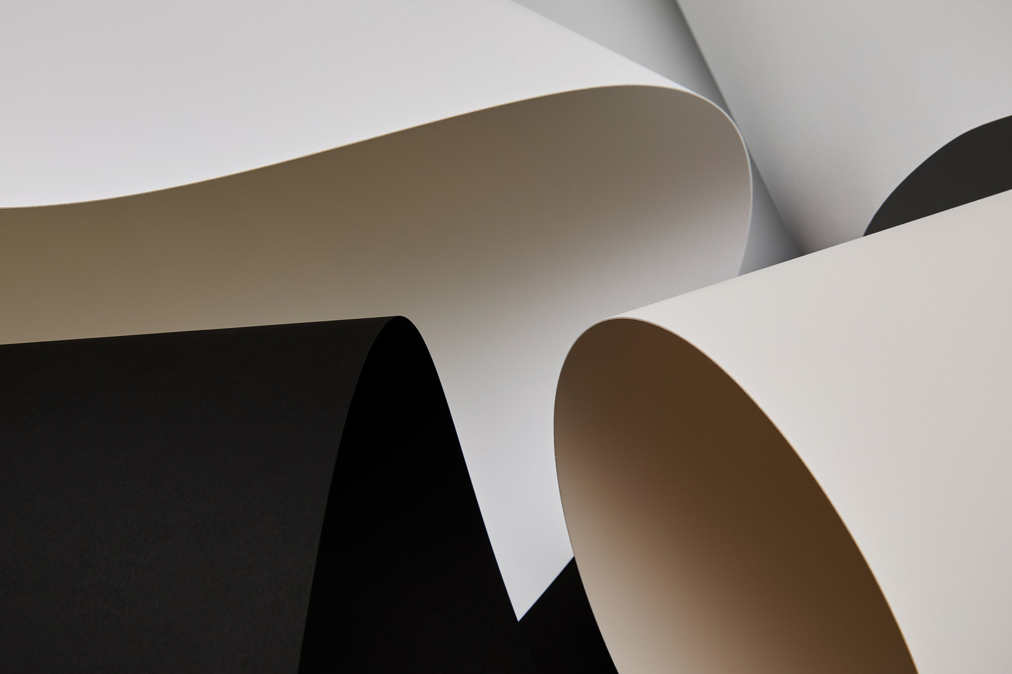 mycordenons-A_8016-